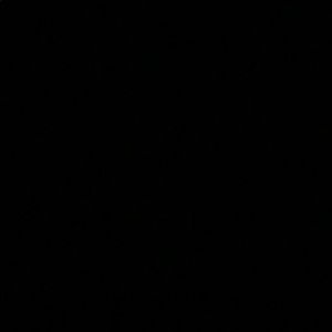 Meet your Posher, Rina